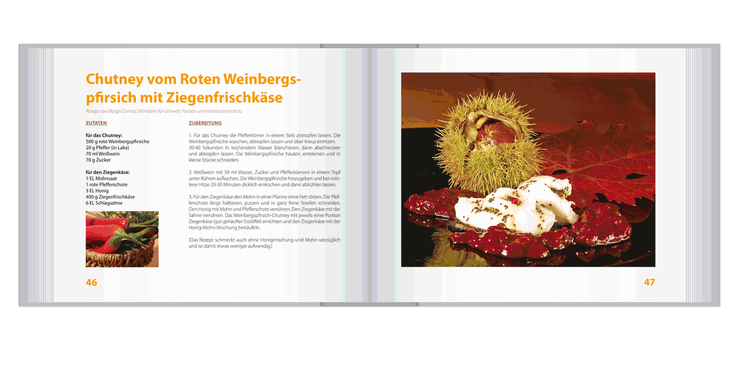 buchmuster pfirsich